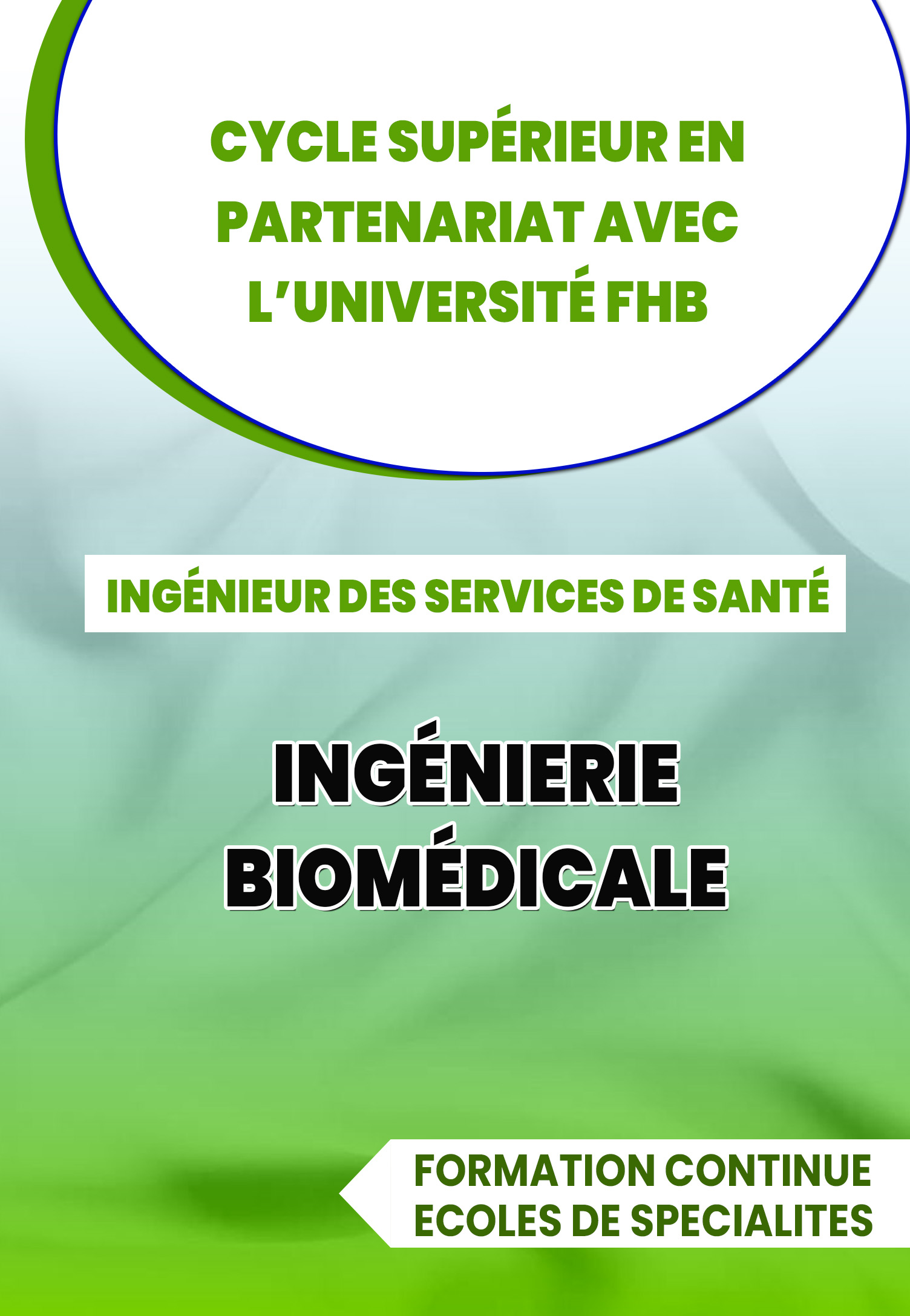 Parcours 7 : Ingénierie Biomédicale (IBM)