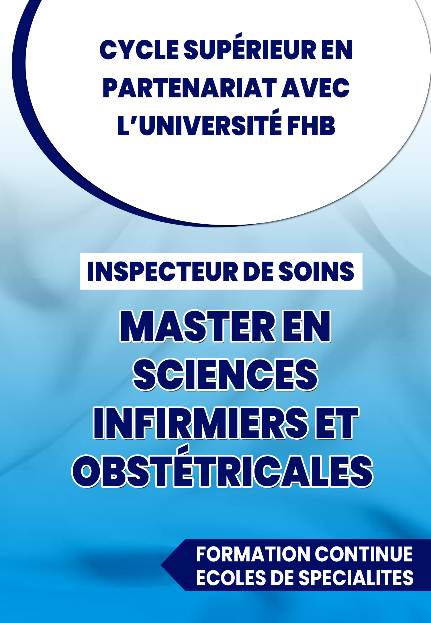 Inspecteur de soins / Parcours 1 : Master en Sciences Infirmiers et Obstétricales /Projet SWEED