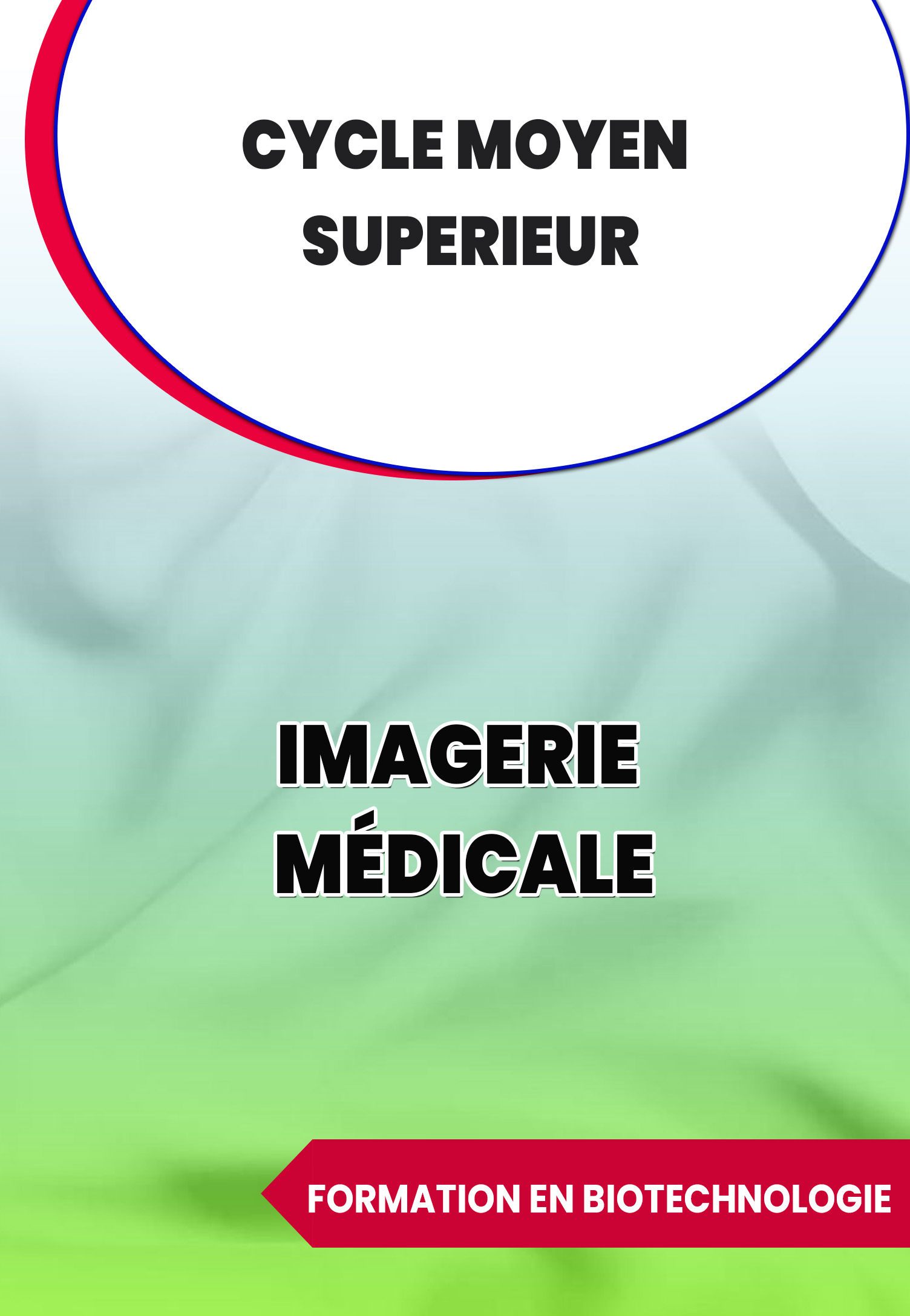 Imagerie Médicale