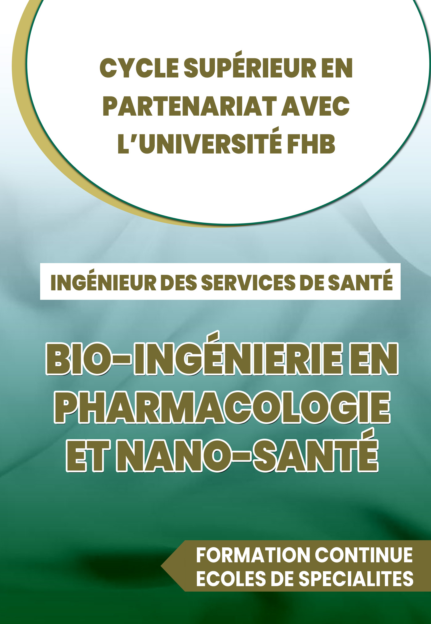 Parcours 4 : Bio-ingénierie en Pharmacologie et Nano-Santé (BIO-IPNS)