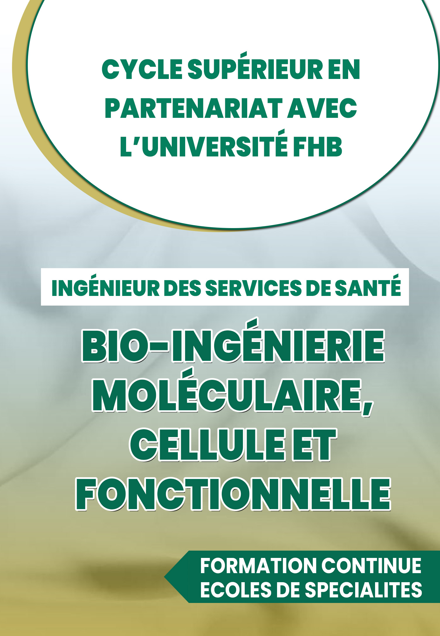 Parcours 3 : Bio-ingénierie moléculaire, Cellule et Fonctionnelle (BIO-IMCF)